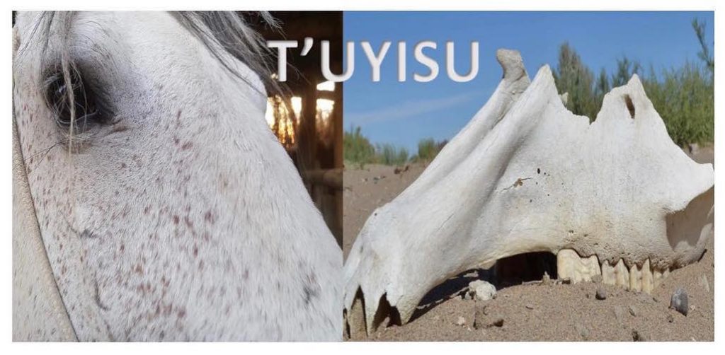 пленэр выставка Алматы Esentai Gallery искусство