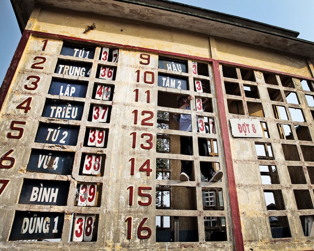 Хошимин Вьетнам фотопроект конные лошадиные скачки