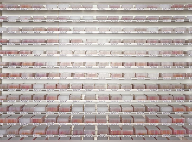 Нидерланды пищевая промышленность заводы фермы еда фотопроект