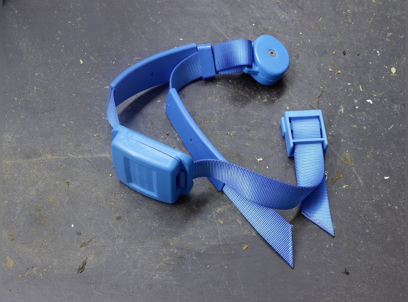 Нидерланды пищевая промышленность заводы фермы еда фотопроект