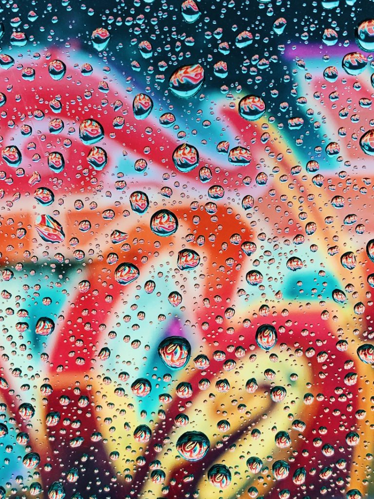 снято на iPhone Apple конкурс победители 2019 фотографии