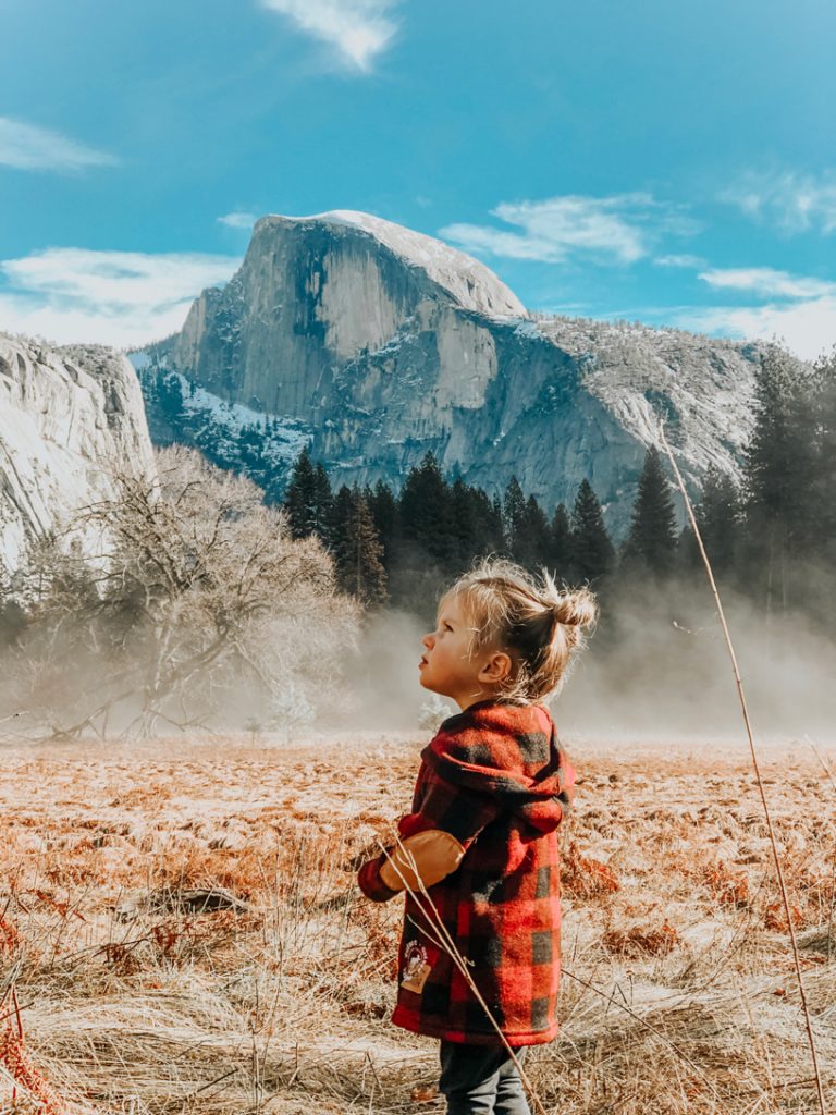 снято на iPhone Apple конкурс победители 2019 фотографии