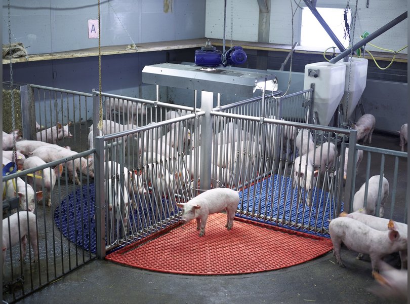 Нидерланды пищевая промышленность заводы фермы еда фотопроект