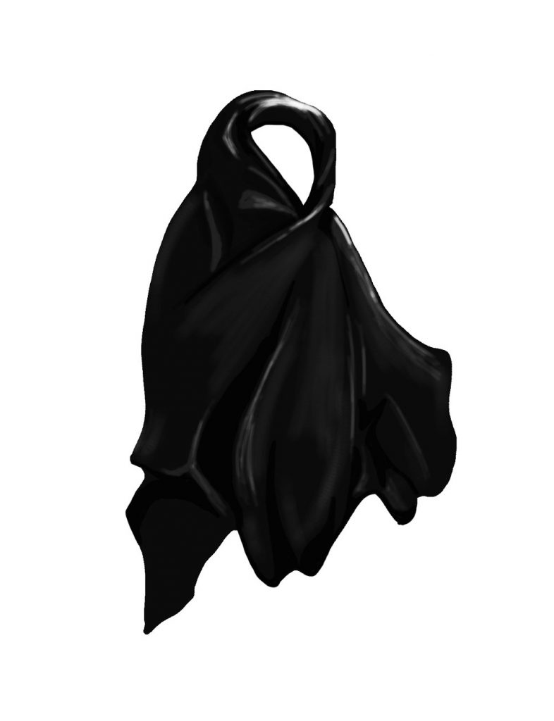 чадра религия ислам мусульманство история культура политика