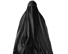 паранаджа религия ислам мусульманство история культура политика