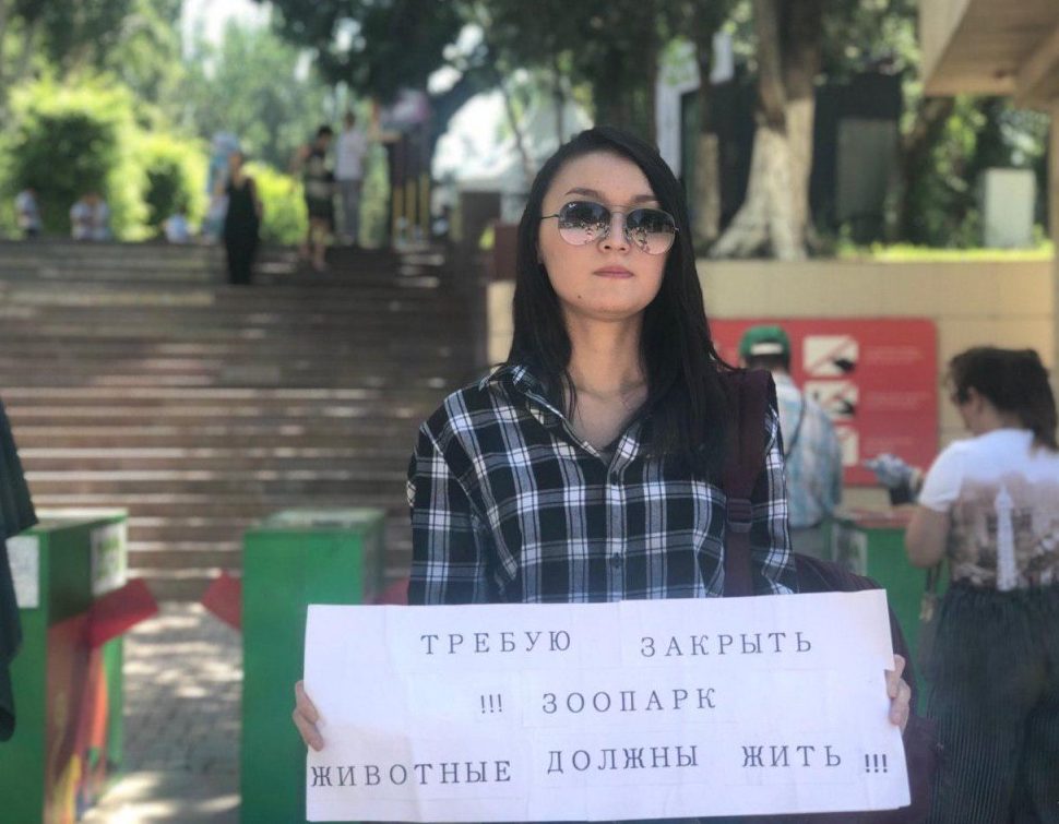пикет