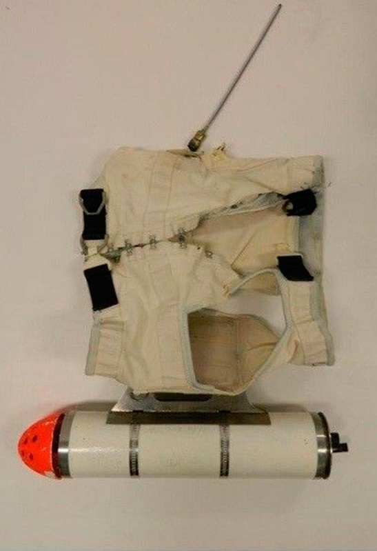 животные-шпионы