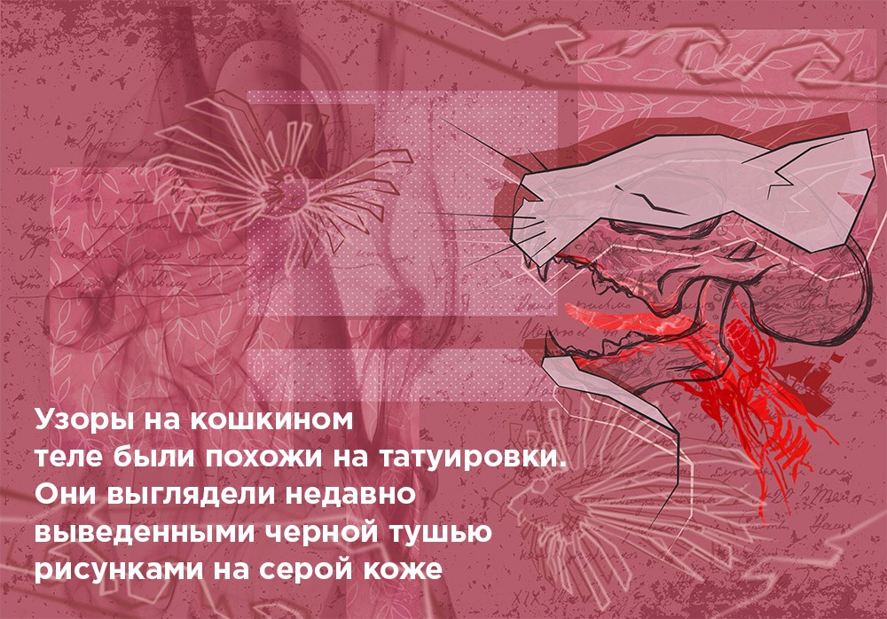 Рассказ Елены Некрасовой "Пиратская песня"