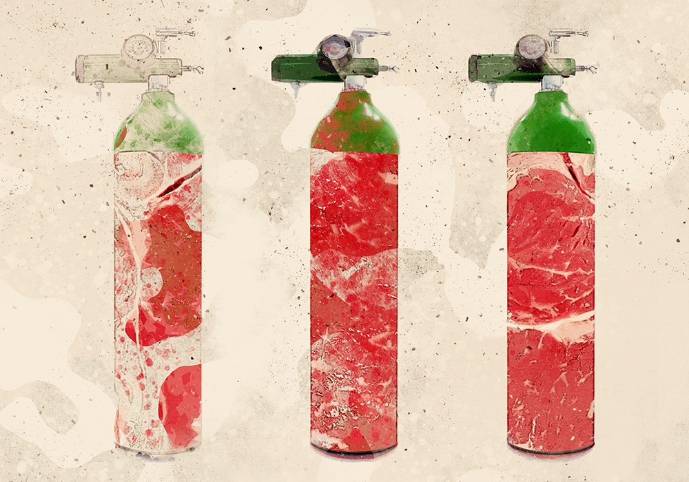 искусственное мясо