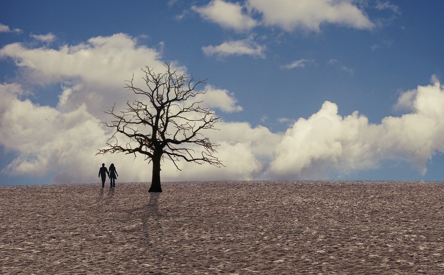 climate