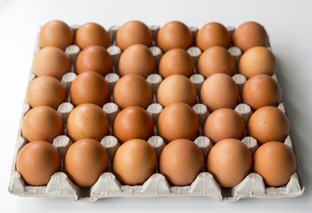 eggs