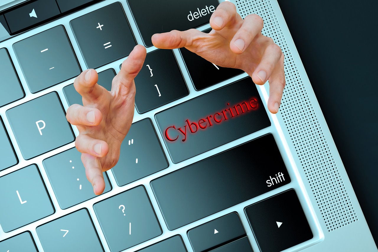 cybercrime