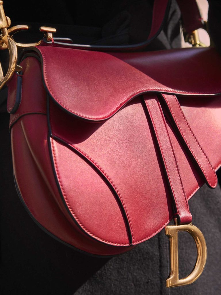 Dior Saddle Bag